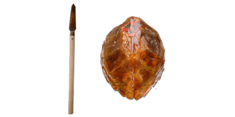 Ryukyu Kobujutsu Hozon Shinko Kai USA